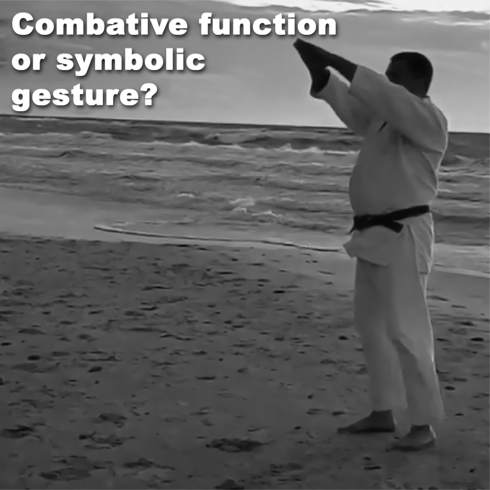 Combative function or symbolic gesture? image