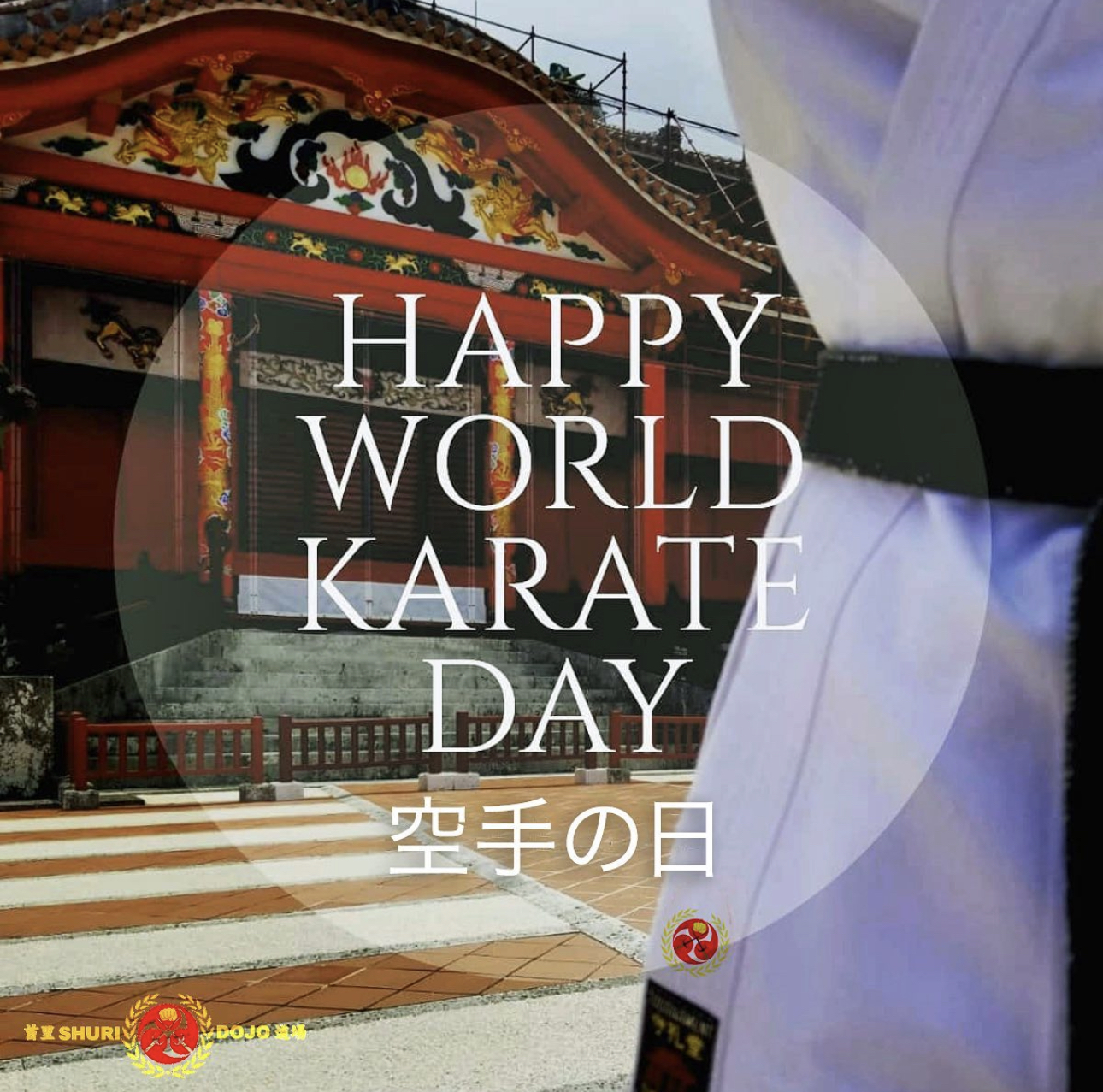 Happy World Karate Day image