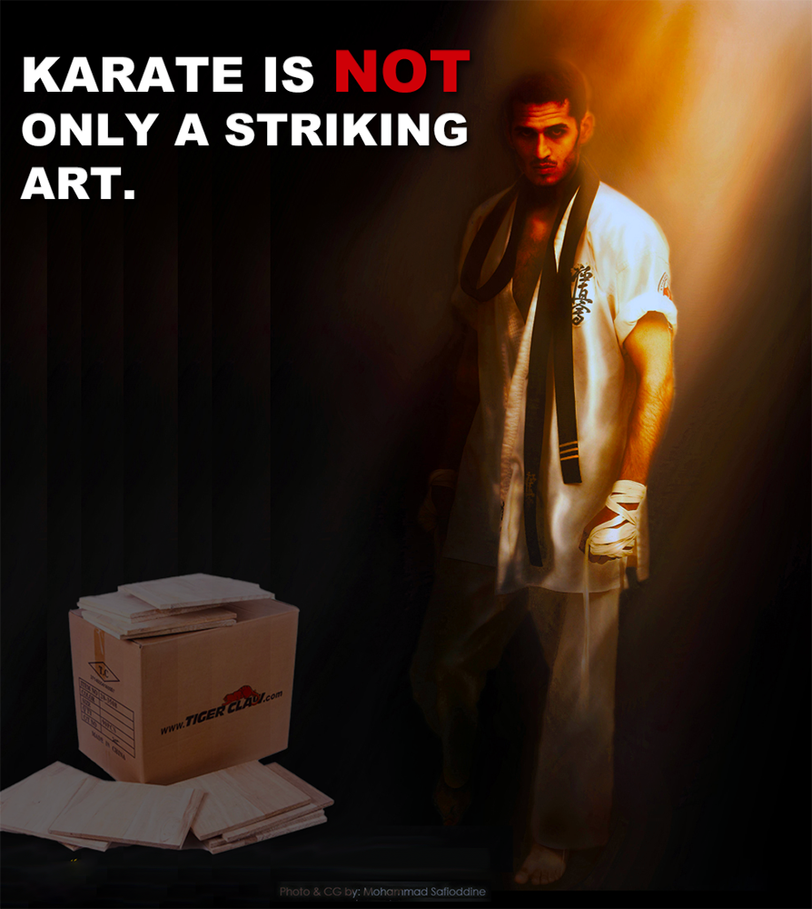 Karate is NOT only a striking art image