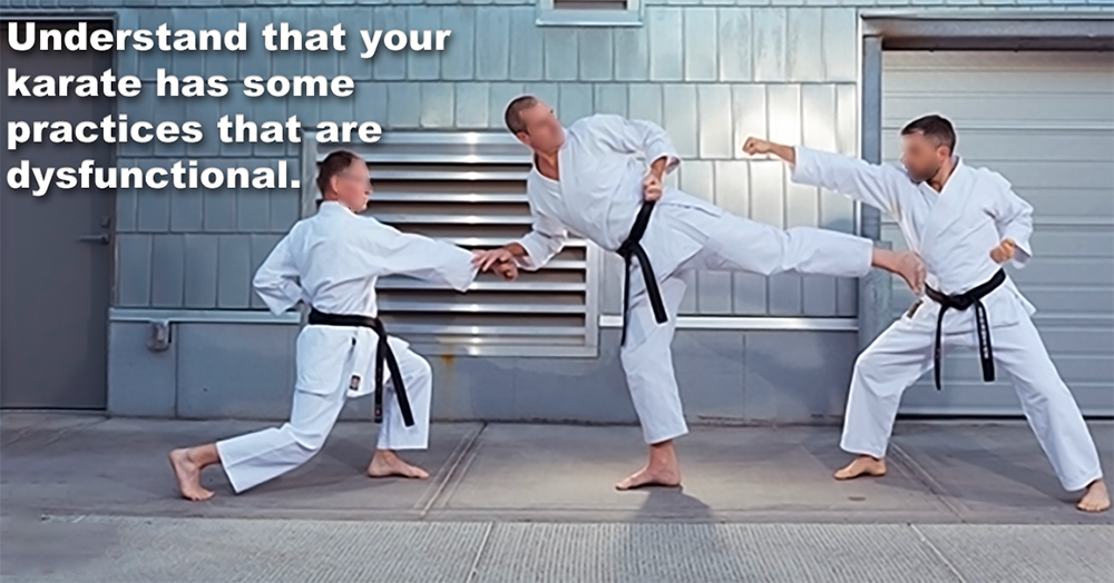 Understand that your karate has some practices that are dysfunctional image