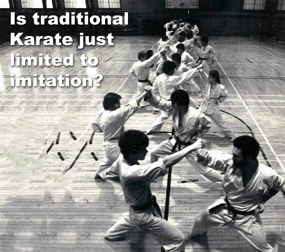 Is traditional Karate just limited to imitation? image