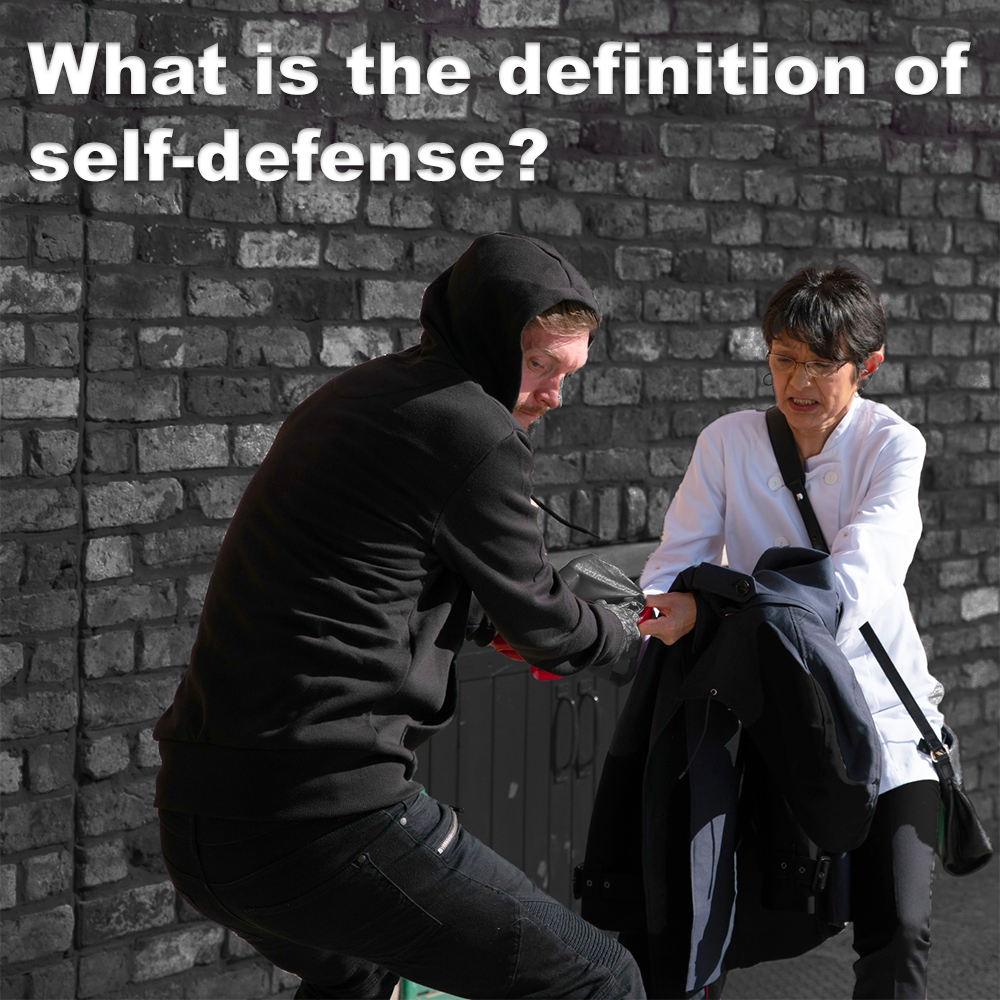 What is the definition of self-defense? image