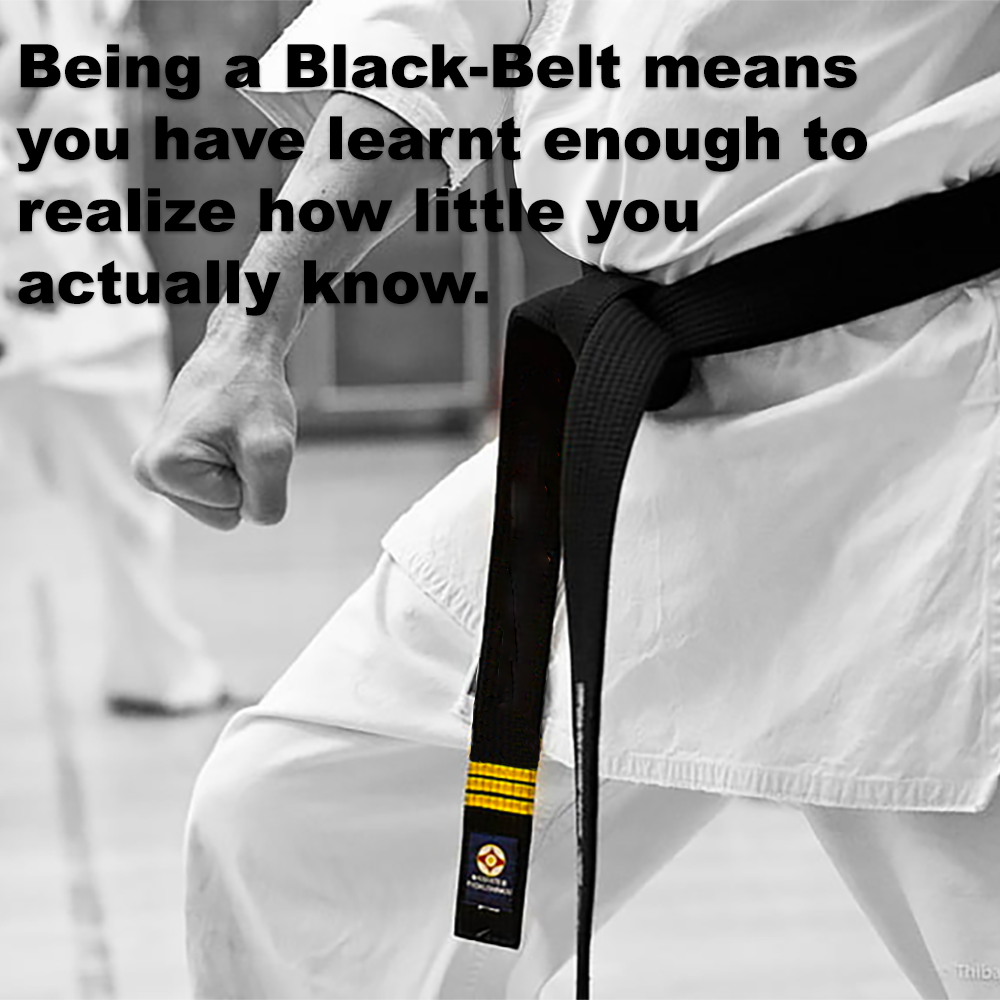 Being a Black-Belt means you have learnt enough to realize how little you actually know image