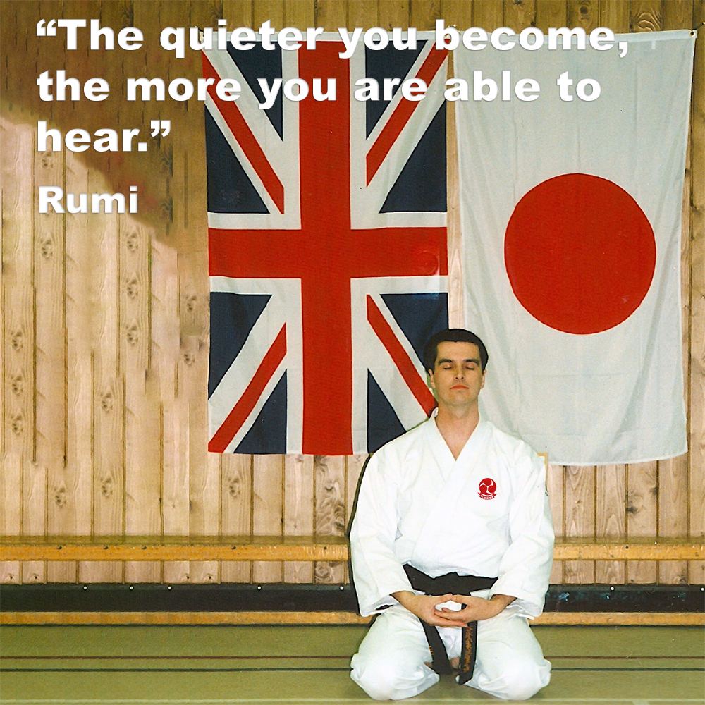 The quieter you become, the more you are able to hear. image