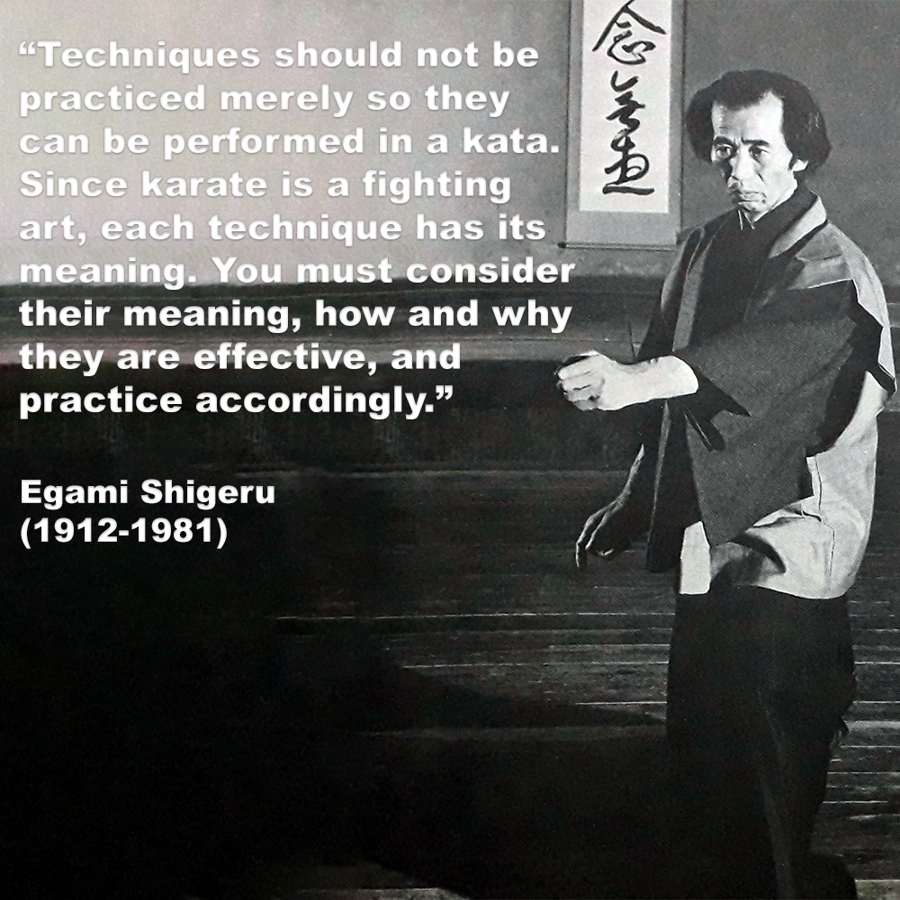 Kata is a fundamental component of traditional martial arts. image