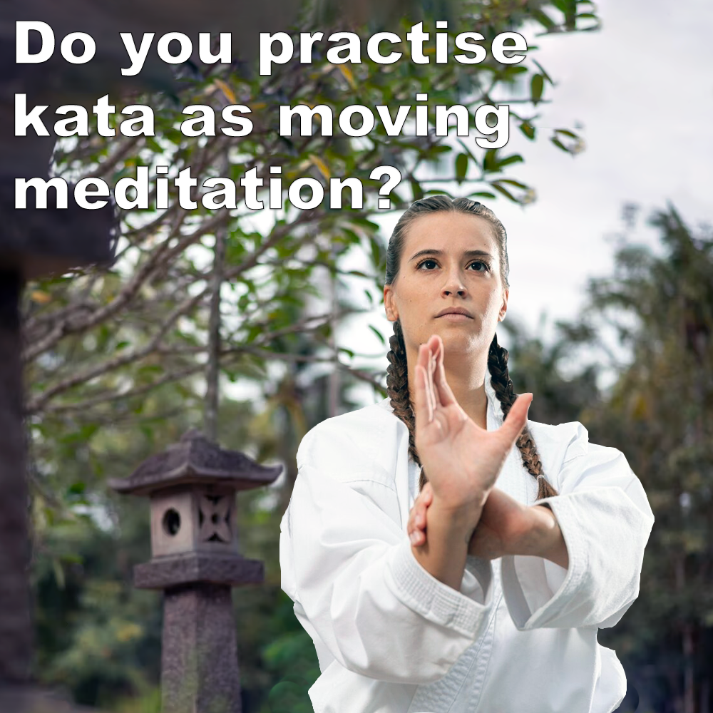 Do you practise kata as moving meditation? image