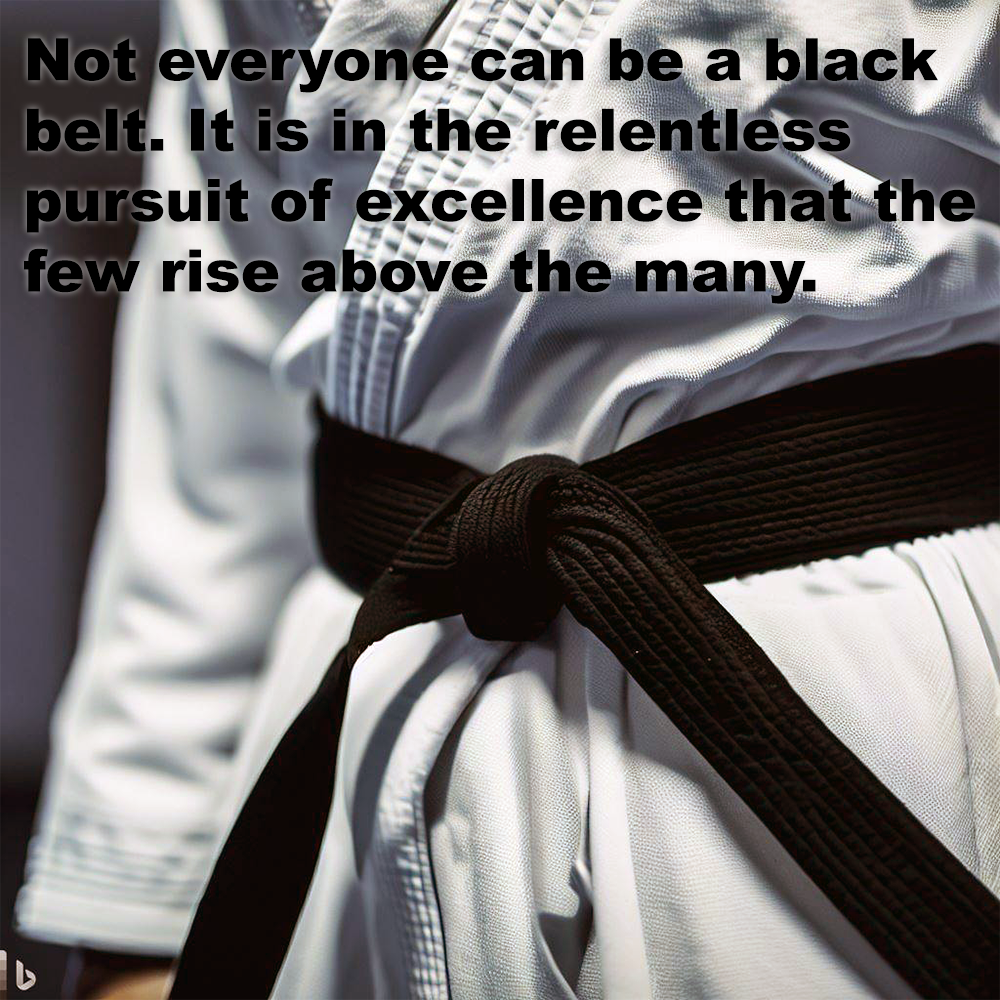 Not everyone can be a black belt image