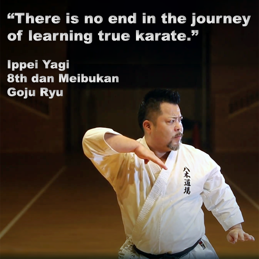 There is no end in the journey of learning true karate. image