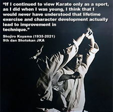 If I continued to view Karate only as a sport, as I did when I was young..... image