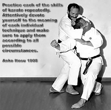 Practice each of the skills of karate repeatedly. Attentively devote yourself to the meaning of each individual technique. image