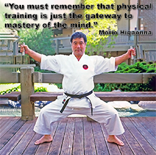 You must remember that physical training is just the gateway to mastery of the mind. image