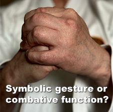 Symbolic gesture or combative function? image