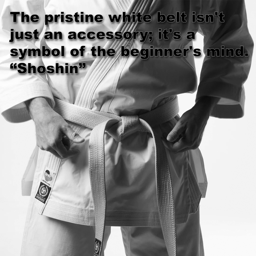 The pristine white belt isn’t just an accessory; it’s a symbol of the beginner’s mind. Shoshin. image