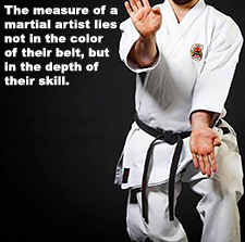 The measure of a martial artist lies not in the color of their belt, but in the depth of their skill. image