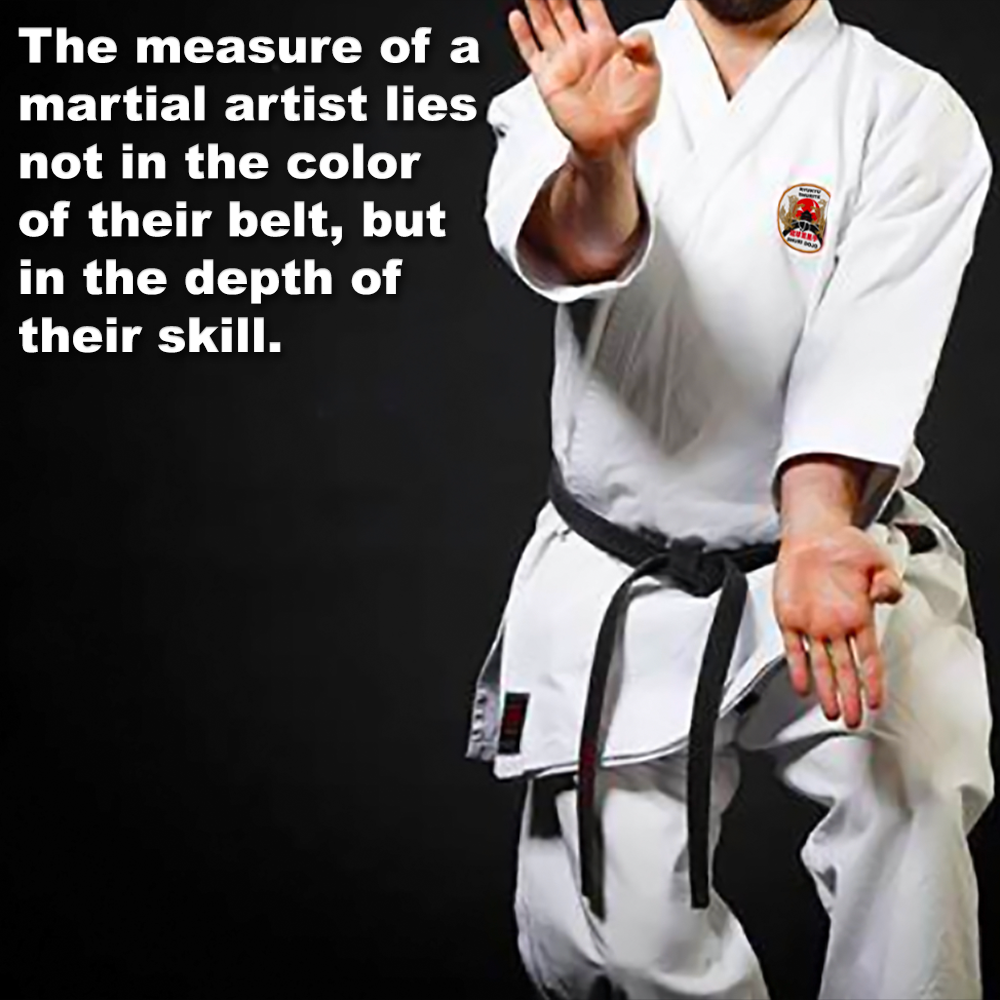 The measure of a martial artist lies not in the color of their belt, but in the depth of their skill. image