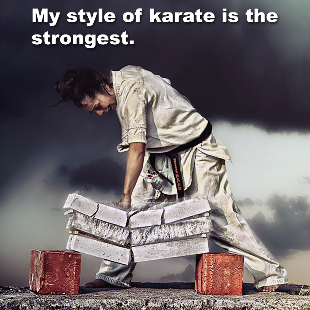 My style of karate is the strongest. image