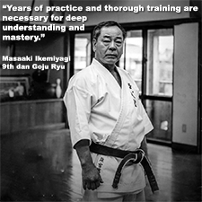 Years of practice and thorough training are necessary for deep understanding and mastery. image