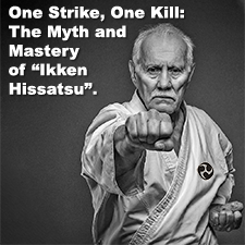 One Strike, One Kill: The Myth and Mastery of 'Ikken Hissatsu'. image