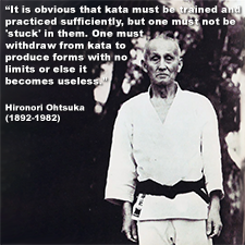 It is obvious that kata must be trained and practiced sufficiently, but one must not be ‘stuck’ in them. image