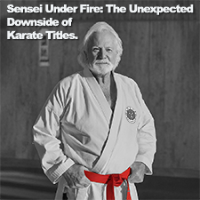 Sensei Under Fire: The Unexpected Downside of Karate Titles. image