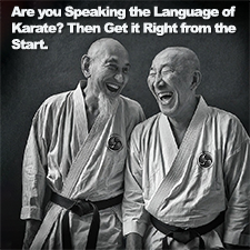 Are you Speaking the Language of Karate? Then Get it Right from the Start. image