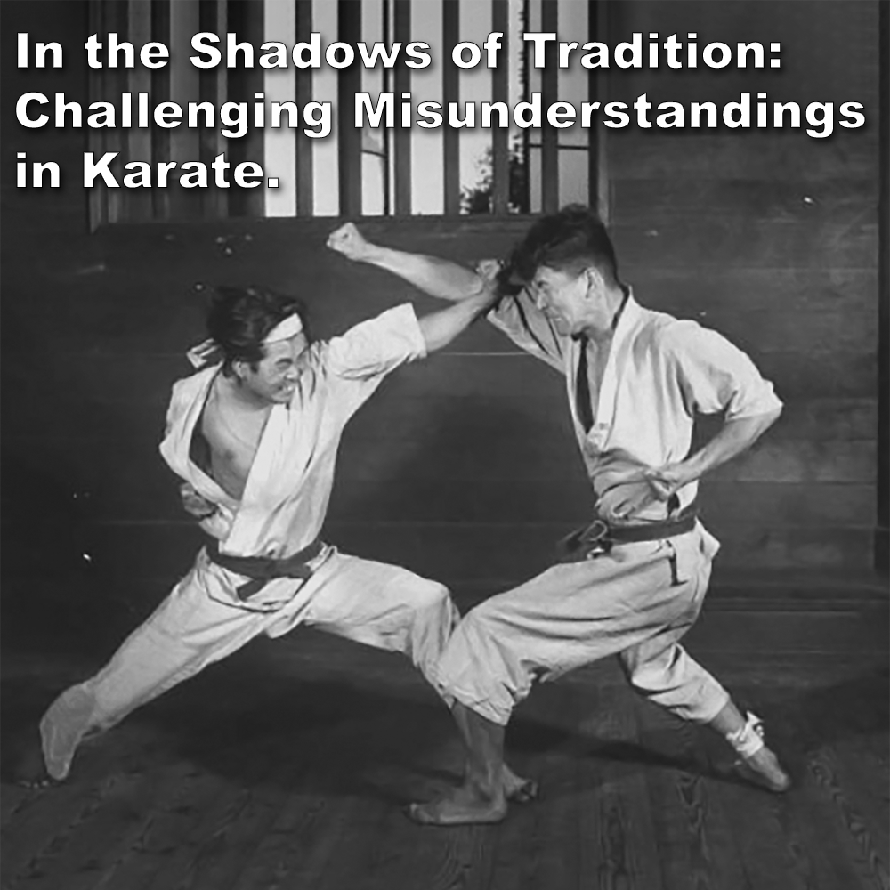 In the Shadows of Tradition: Challenging Misunderstandings in Karate. image