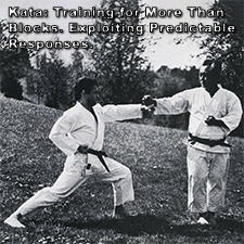 Kata: Training for More Than Blocks. Exploiting Predictable Responses. image