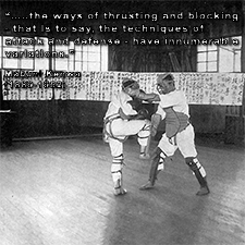 …..the ways of thrusting and blocking – that is to say, the techniques of attack and defense – have innumerable variations. image