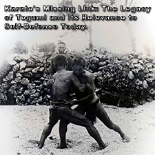 Karate’s Missing Link: The Legacy of Tegumi and Its Relevance to Self-Defense Today. image