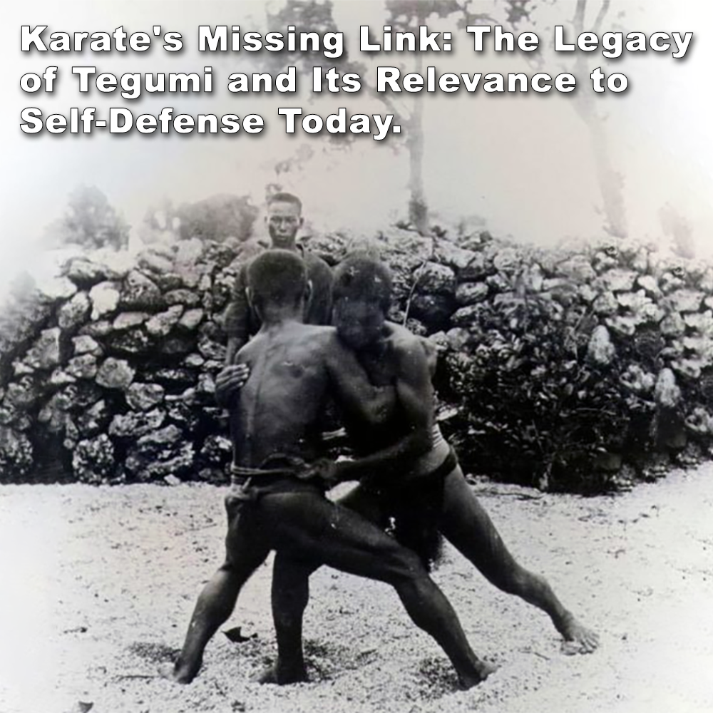 Karate’s Missing Link: The Legacy of Tegumi and Its Relevance to Self-Defense Today. image