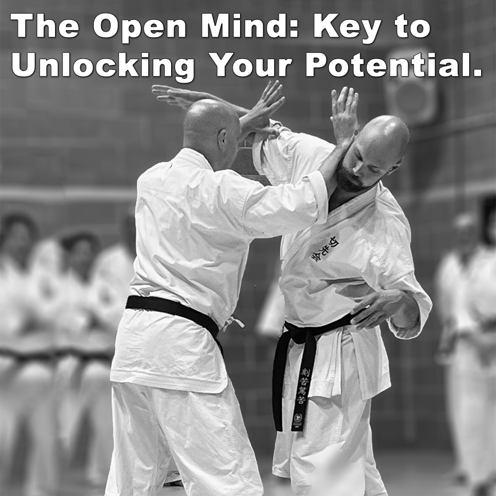 The Open Mind: Key to Unlocking Your Potential. image