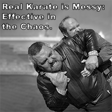 Real Karate is Messy: Effective in the Chaos. image