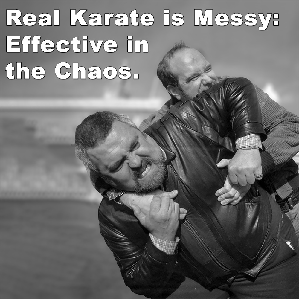 Real Karate is Messy: Effective in the Chaos. image