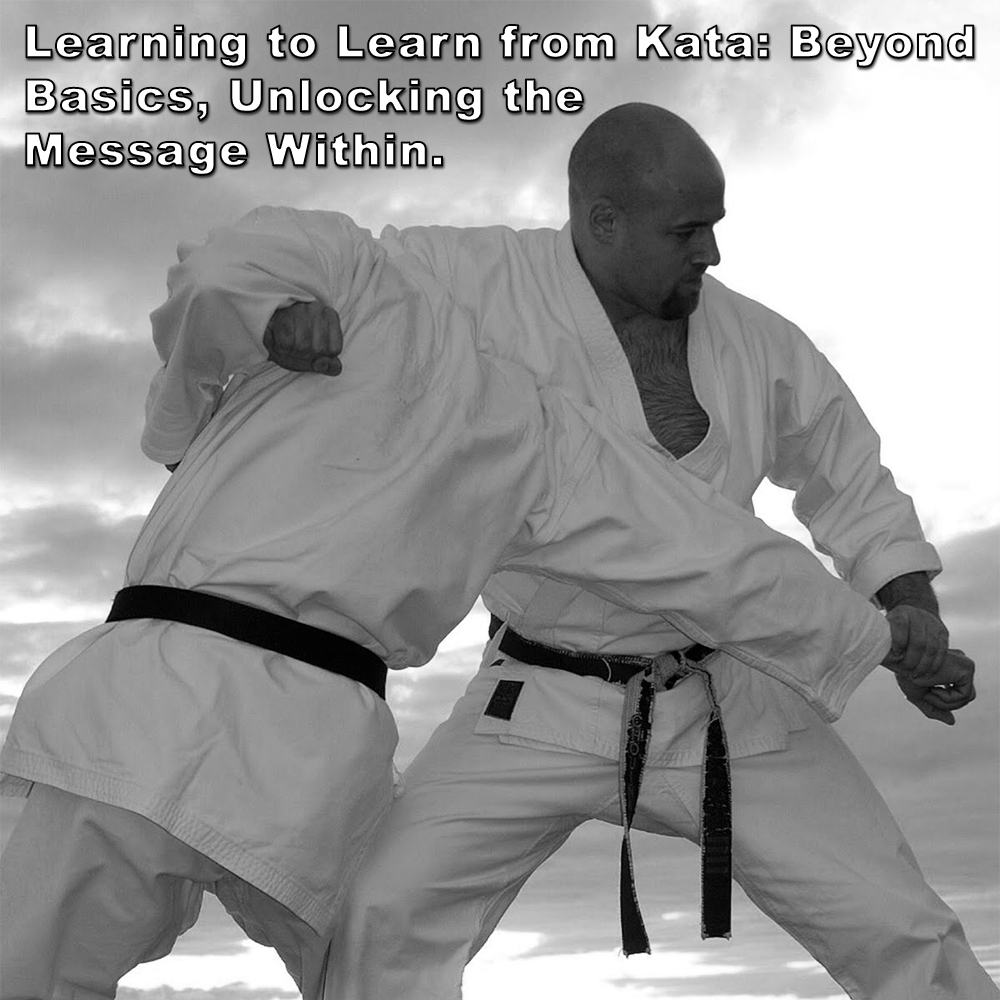 Learning to Learn from Kata: Beyond Basics, Unlocking the Message Within. image