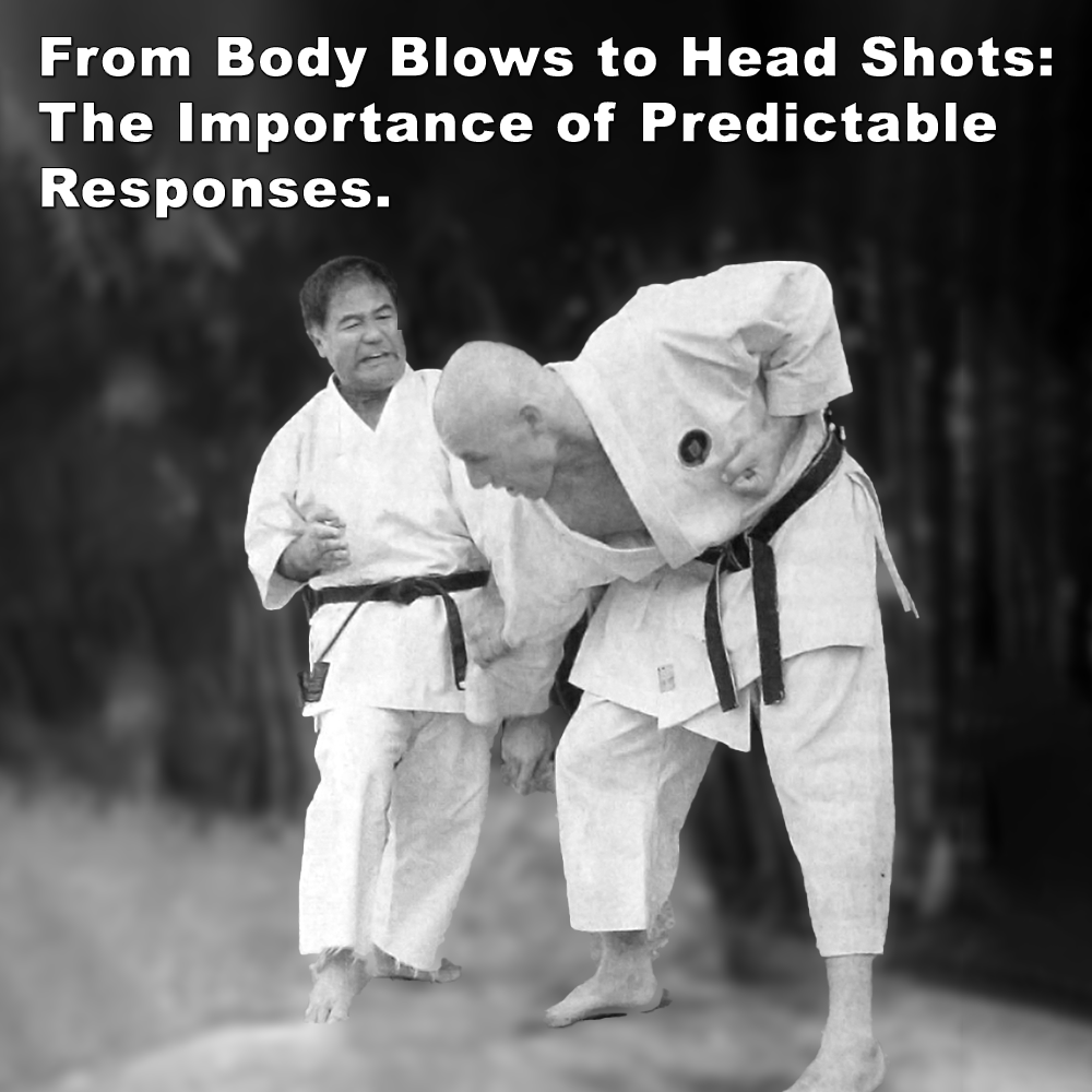 From Body Blows to Head Shots: The Importance of Predictable Responses. image