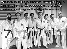 What’s in a Dojo name? Everything, if it’s chosen with respect and a deep understanding of its significance. image