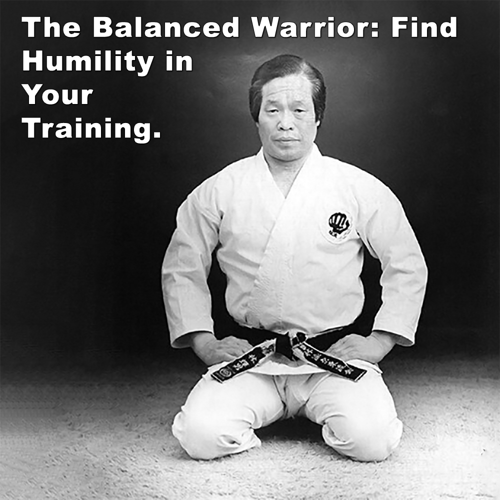 The Balanced Warrior: Find Humility in Your Training. image