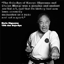 The Goju-Ryu of Kanryo Higaonna and Chojun Miyagi was a genuine and ancient martial art, and that its history had now been correctly delineated as a budo and not a sport. image