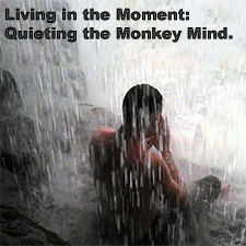 Living in the Moment: Quieting the Monkey Mind. image