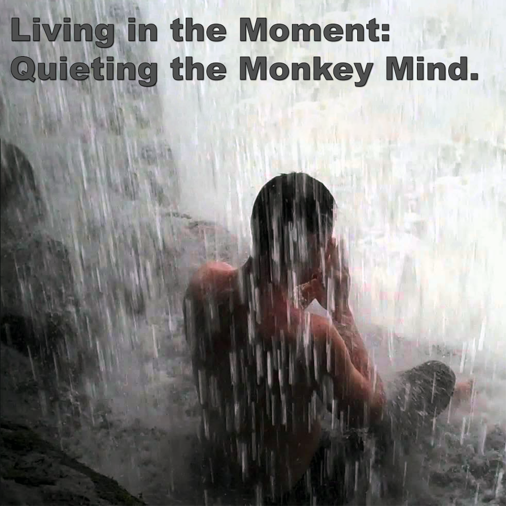 Living in the Moment: Quieting the Monkey Mind. image