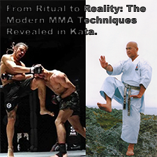 From Ritual to Reality: The Modern MMA Techniques Revealed in Kata. image