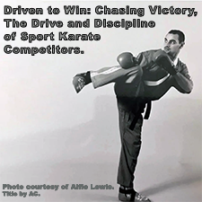 Driven to Win: Chasing Victory, The Drive and Discipline of Sport Karate Competitors. image