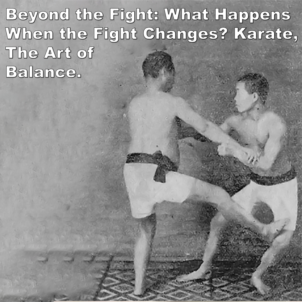 Beyond the Fight: What Happens When the Fight Changes? Karate, The Art of Balance. image