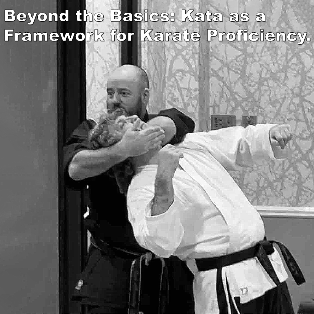 Beyond the Basics: Kata as a Framework for Karate Proficiency. image