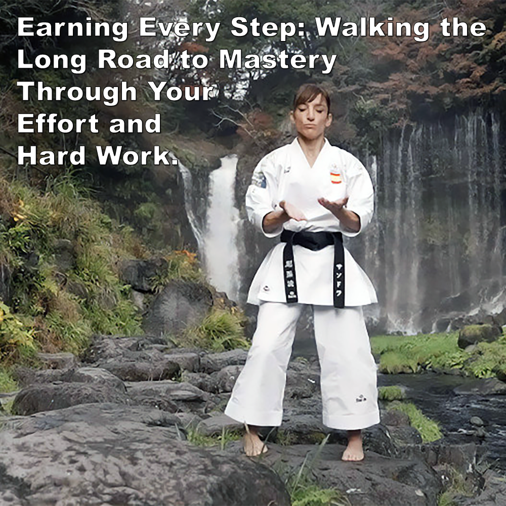 Earning Every Step: Walking the Long Road to Mastery Through Your Effort and Hard Work. image