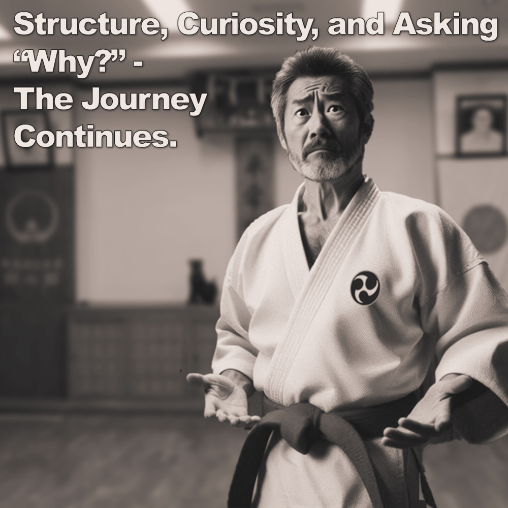 Structure, Curiosity, and Asking “Why?” – The Journey Continues. image