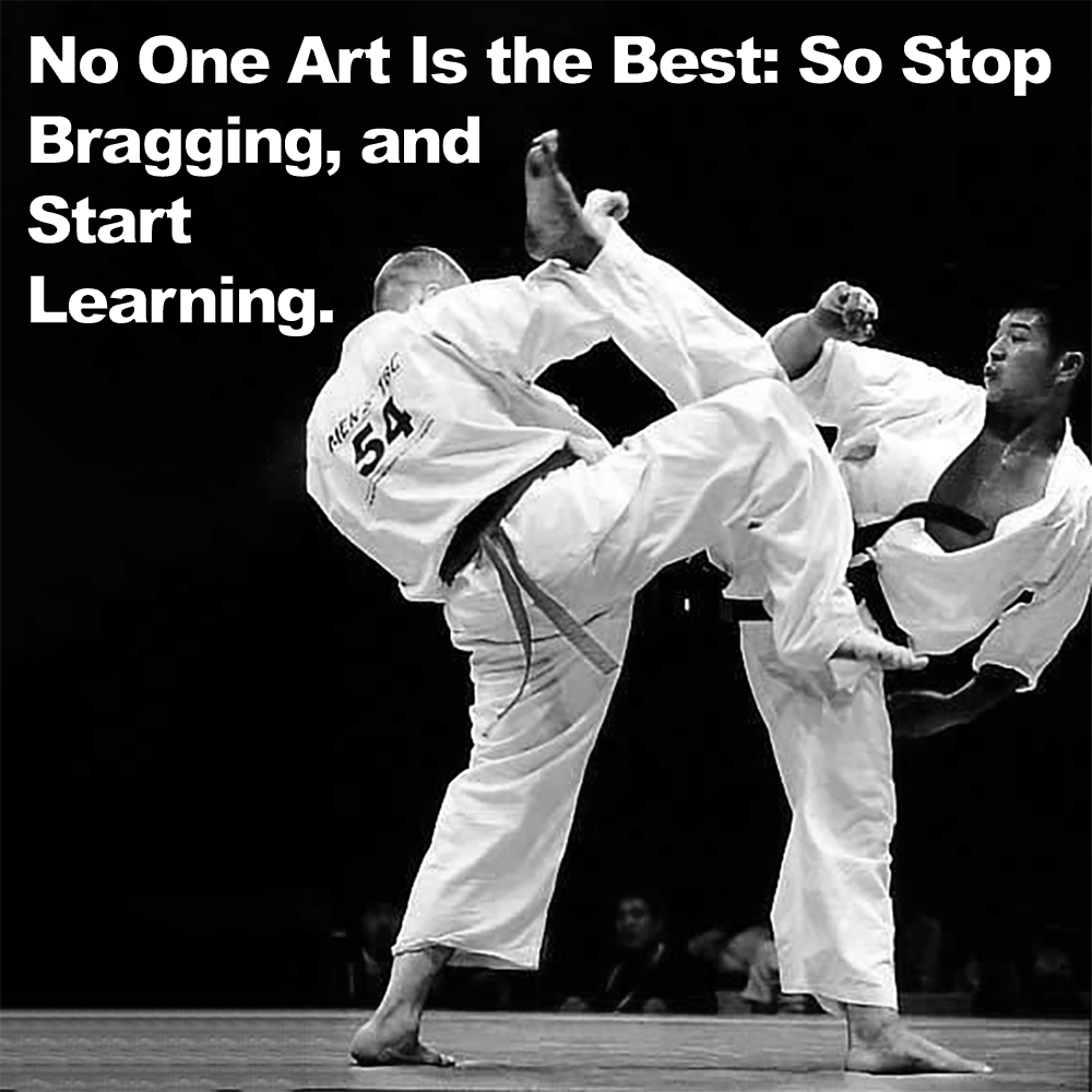 No One Art Is the Best: So Stop Bragging, and Start Learning. image