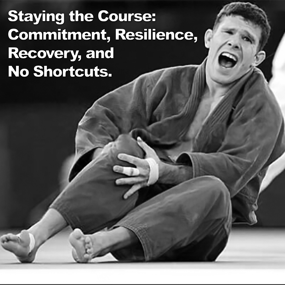 Staying the Course: Commitment, Resilience, Recovery, and No Shortcuts. image