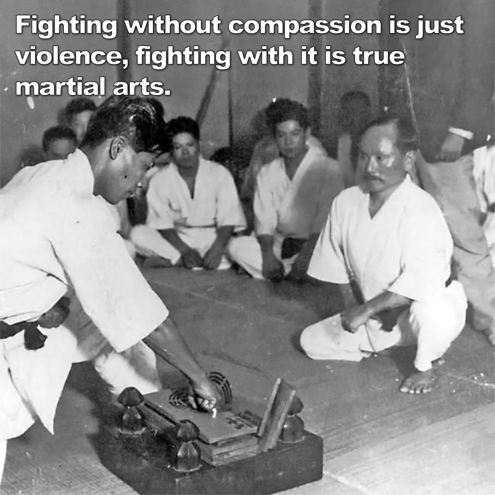 Fighting without compassion is just violence, fighting with it is true martial arts. image