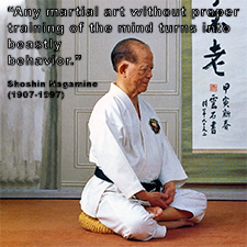 Any martial art without proper training of the mind turns into beastly behavior. image